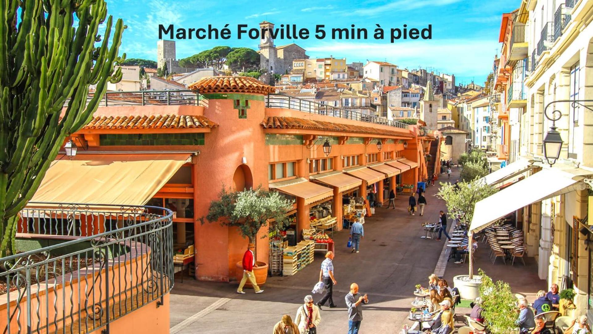 Superbe Duplex Idealement Situe Proche Plages Avec Grande Terrasse Vue Port !l A1b59 Cannes